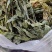 金鸡脚需要的下单