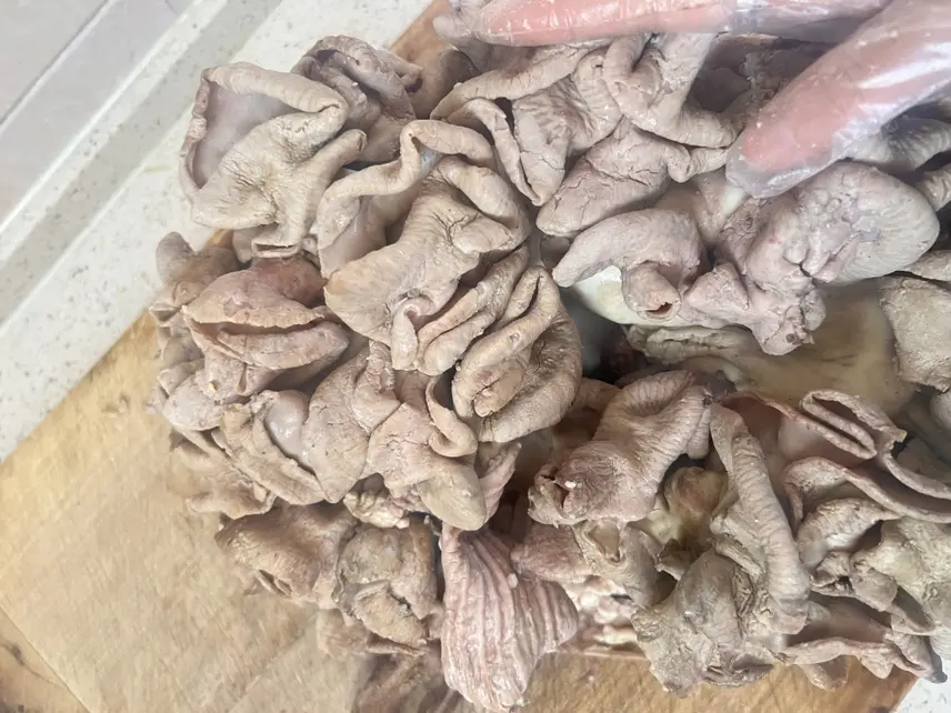 健康饮食与肠胃健康关系图