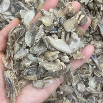 郁金500克中药材批发