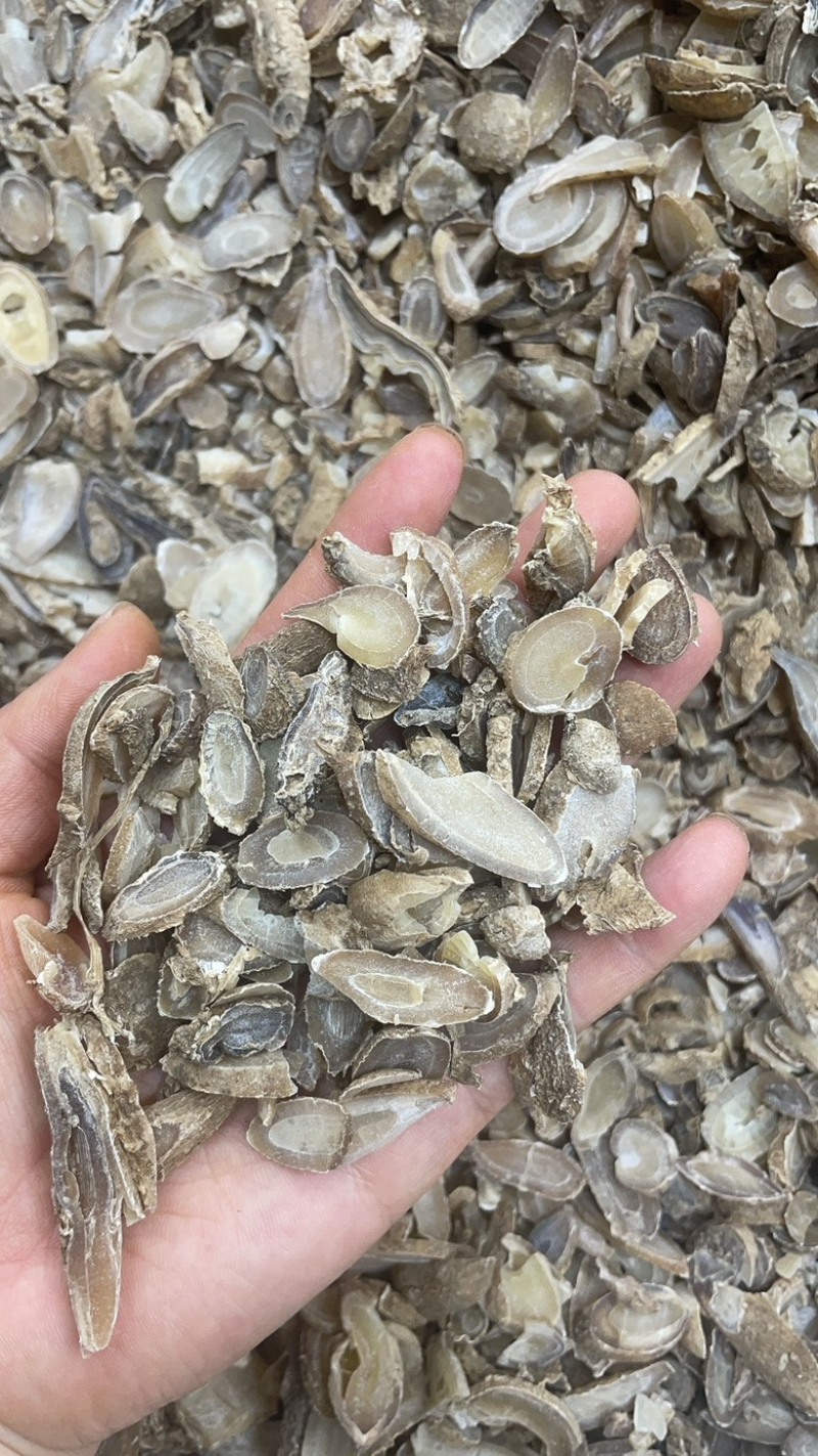 郁金500克中药材批发