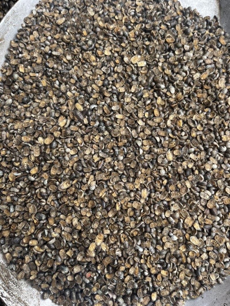 鼠妇虫南七背参中药材批发一手货源质量保证