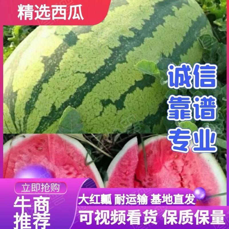 【当季水果】宁夏硒砂瓜产地直供保质保量常年代发全国