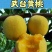平邑县武台镇83黄桃大量上市中