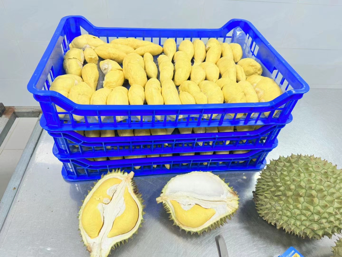 一颗成熟的金枕榴莲,外壳呈黄绿色,果刺分明且间距较宽,果柄已木质化呈褐色,背景为热带果园环境 金枕榴莲成熟果实特写