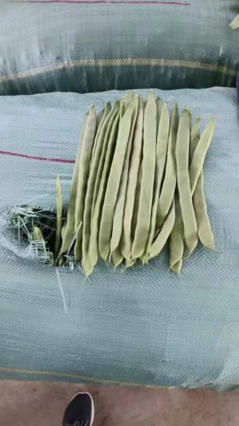 扁豆精品货色泽靓丽，产地直发价格优惠，欢迎咨询