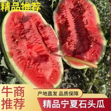 【店长推荐】宁夏中卫硒砂瓜，甜度高耐运输品质保证售后无忧