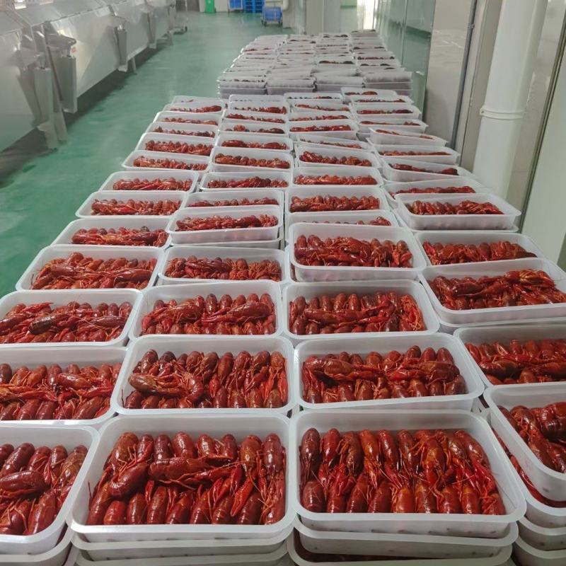 湖北潜江龙虾批发产地直发团购一手货源没有中间商赚差价