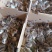 珍珠鸡苗品种质量保证厂家直销