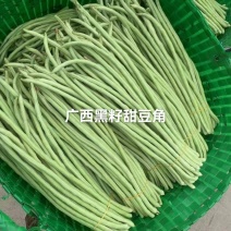 双荚率高肉厚顺直耐热耐湿鼠尾少保证厂家发货