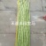 中早熟豆荚长荚肉狗厚浅绿色豆荚略粗品种佳厂家发货品种保证