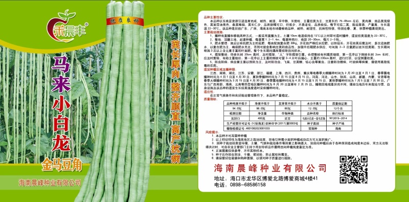 中早熟豆荚长荚肉狗厚浅绿色豆荚略粗品种佳厂家发货品种保证