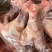 前腿骨