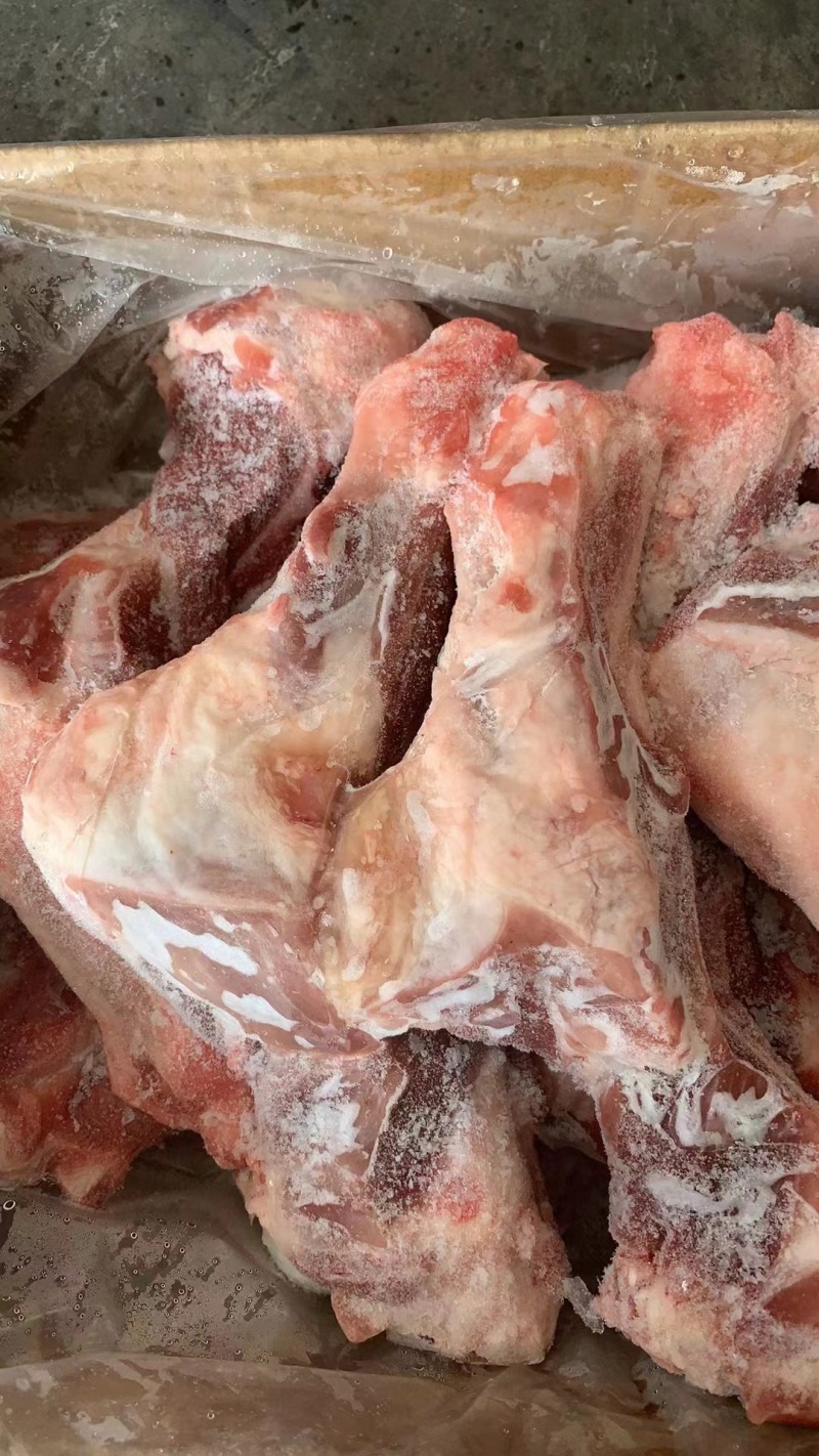 前腿骨