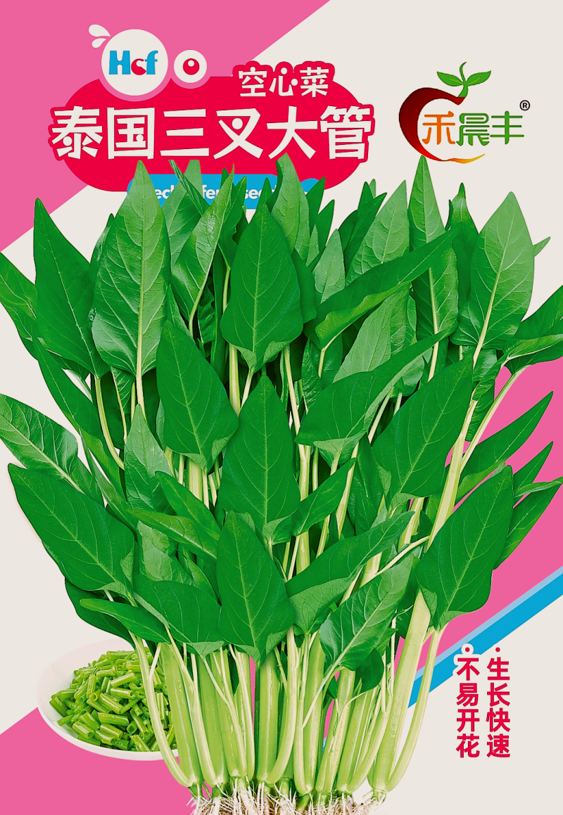 耐热口感脆纤维少品质好产量高适应性广品质保证厂家发货
