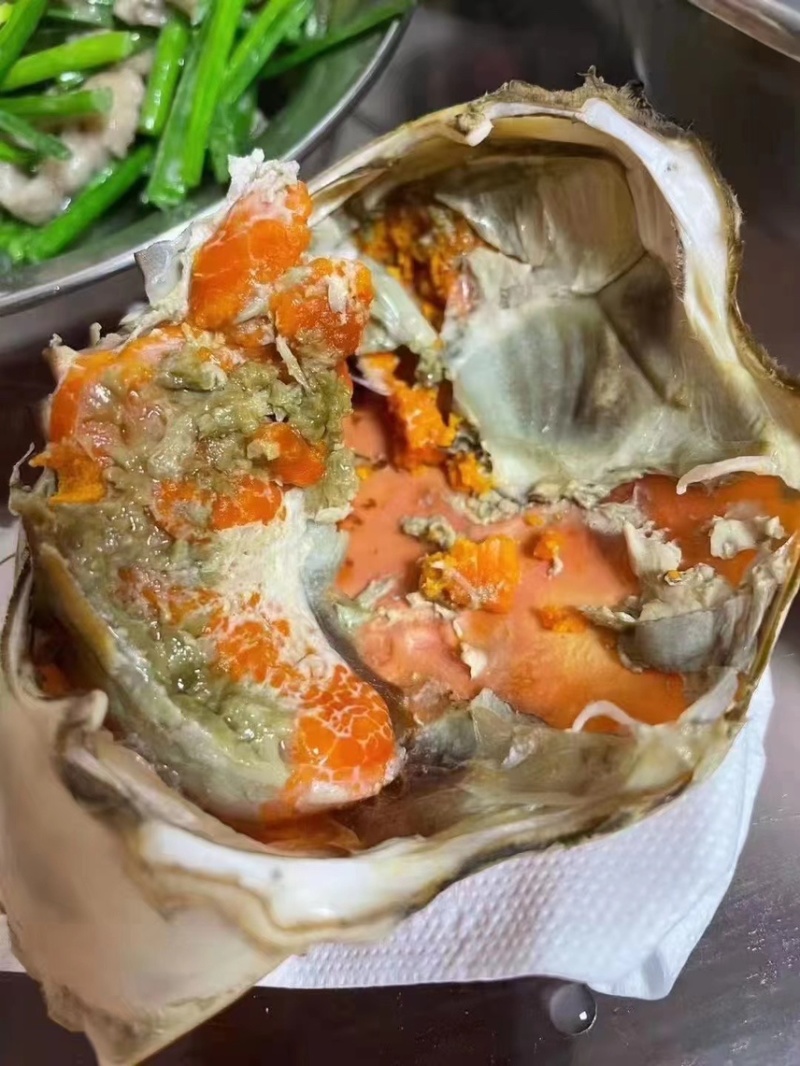 【锯缘青蟹】福建诏安本地膏肉保质保量包活到家螃蟹