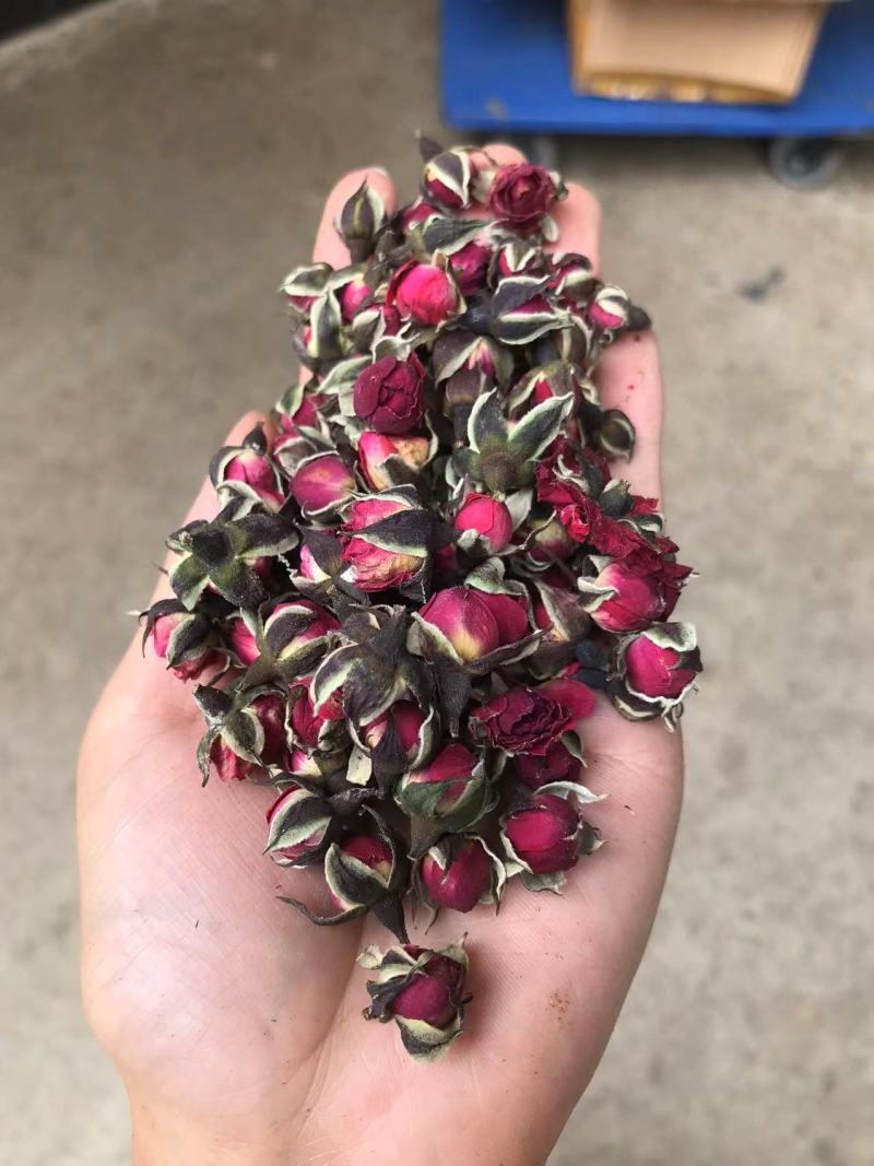 花冠，金边花冠，墨红玫瑰，一手货源，价格实惠