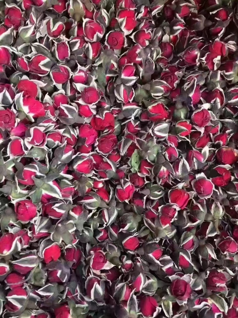 花冠，金边花冠，墨红玫瑰，一手货源，价格实惠