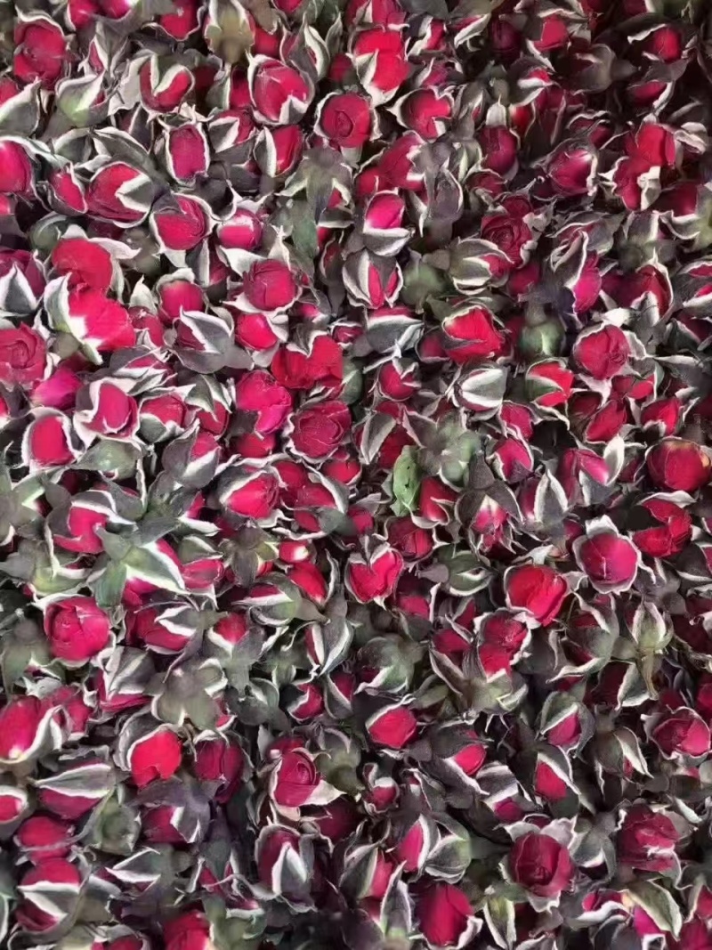 花冠，金边花冠，墨红玫瑰，一手货源，价格实惠
