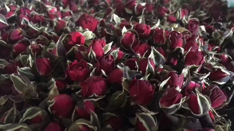 花冠，金边花冠，墨红玫瑰，一手货源，价格实惠
