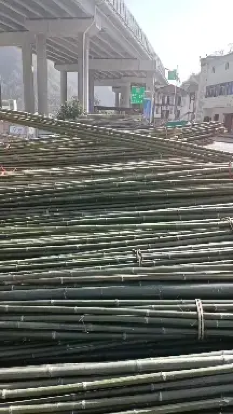 各种规格的节短，根部粗的，山竹，金竹，韧性，硬度好。