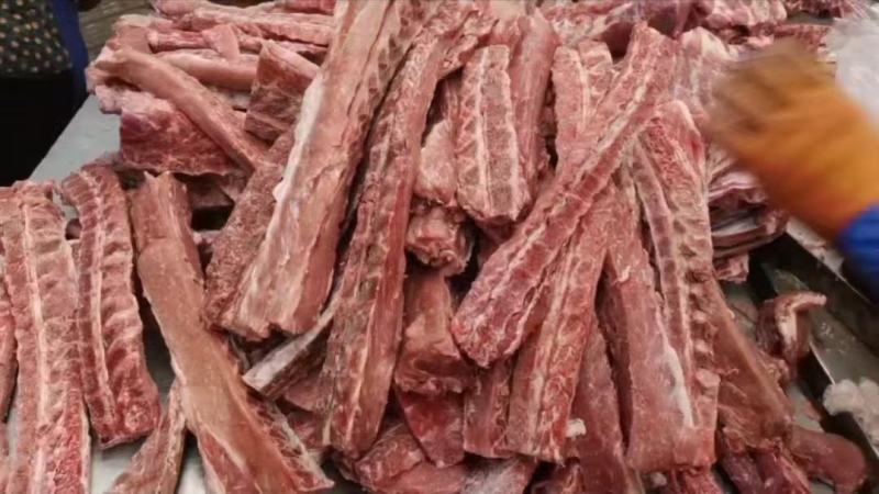 小肥猪龙骨，可发样品