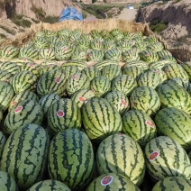 宁夏万亩石头瓜硒砂瓜量大价优产地直发可视频看货欢迎