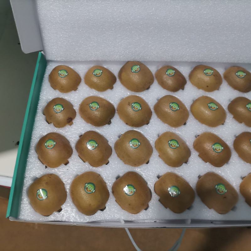黄心猕猴桃