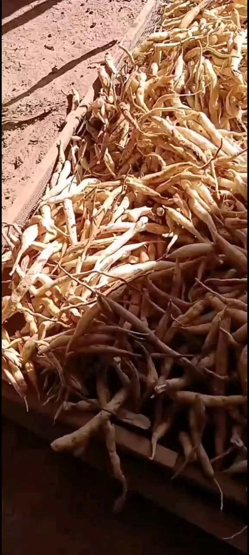 云南百部，野生大百部货量有限，需要赶快，卖完下架