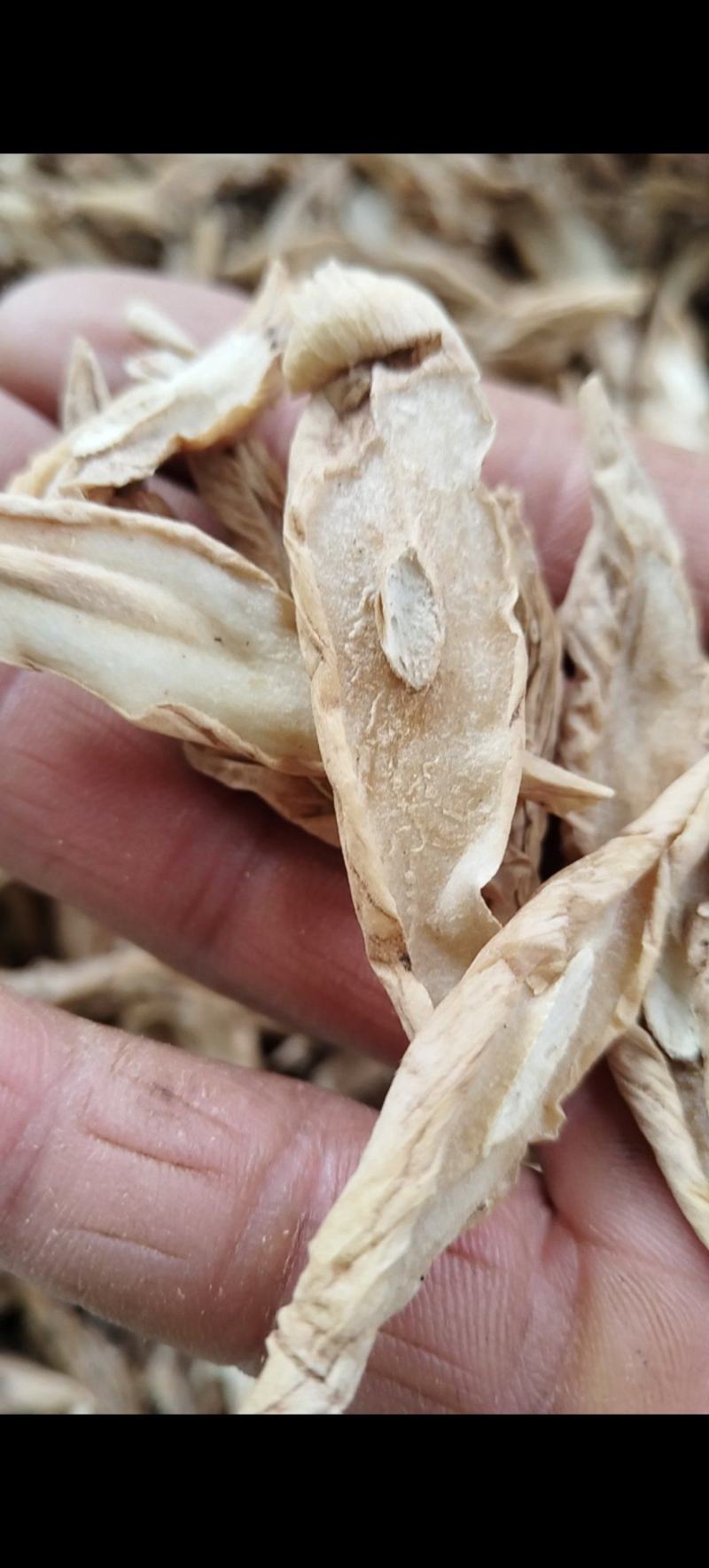云南百部，野生大百部货量有限，需要赶快，卖完下架