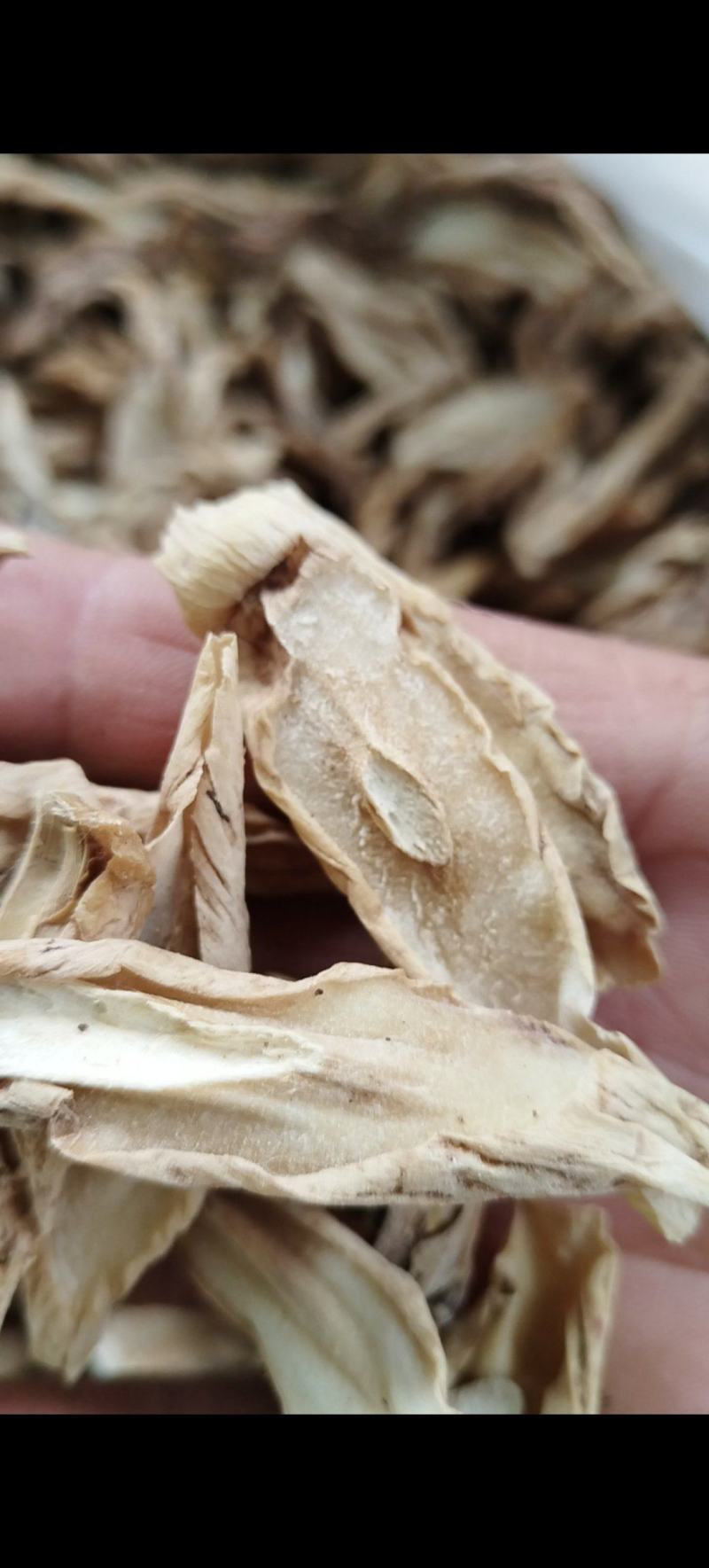 云南百部，野生大百部货量有限，需要赶快，卖完下架