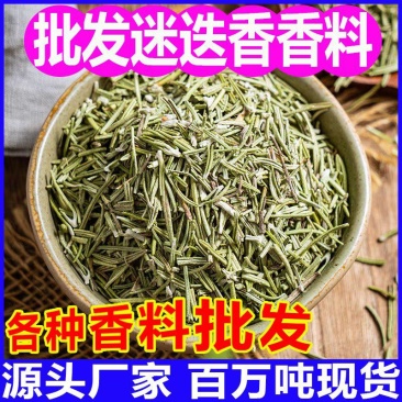 新货迷迭香颜色好味道香浓产地直发