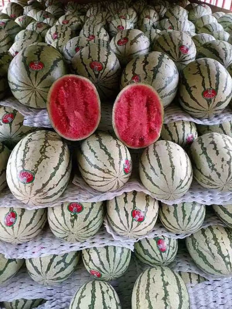 甘肃靖远硒砂瓜大量上市，有需要联系我