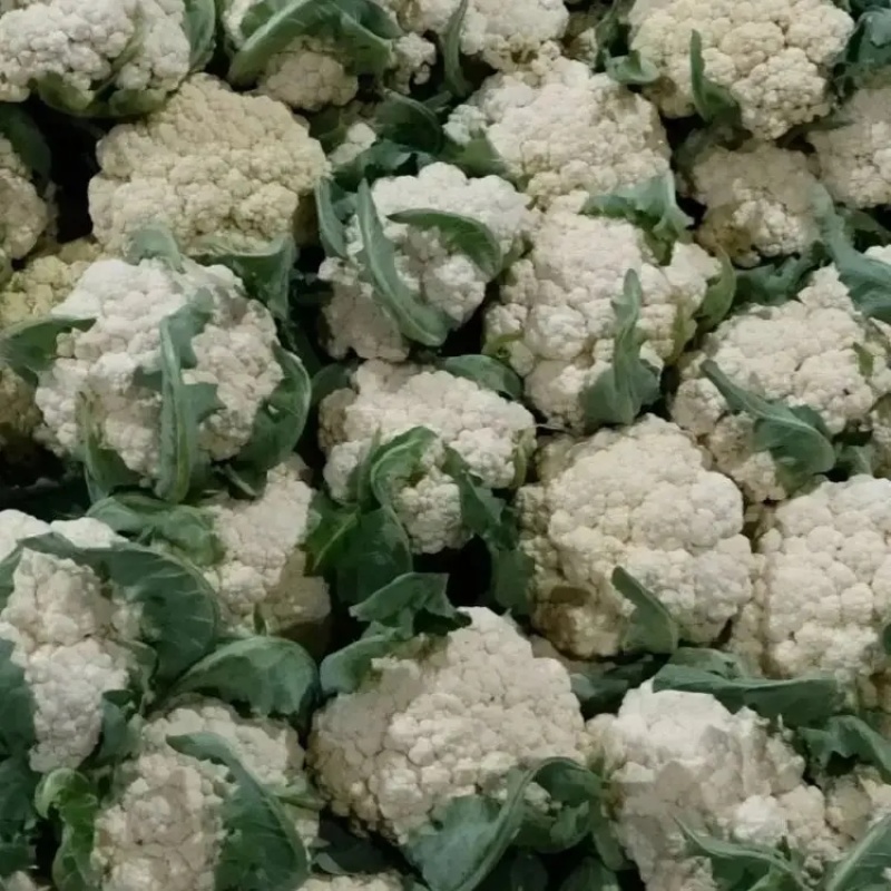 精品小米松花菜菜花产地直发品质保证表面干净