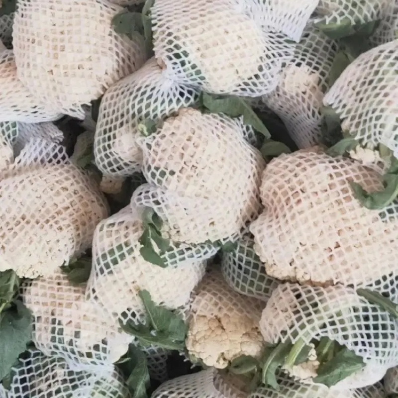 精品小米松花菜菜花产地直发品质保证表面干净