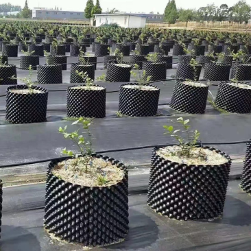 控根器，保质保量，品质保证，可视频看货，欢迎选购
