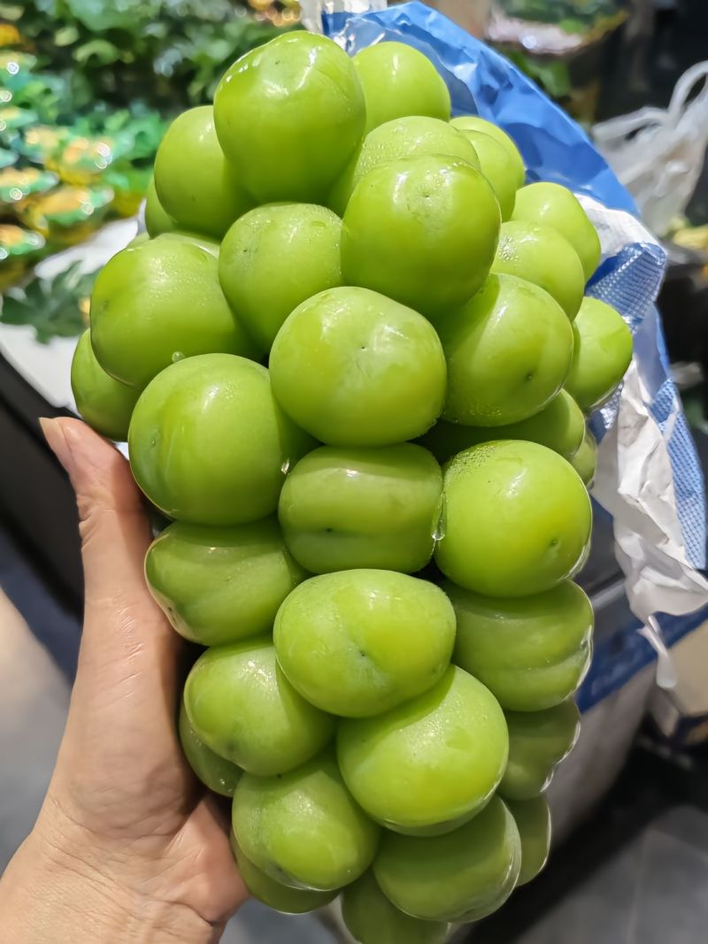 湖北潜江自家阳光玫瑰，精品果，大果，各种规格，七月底上市