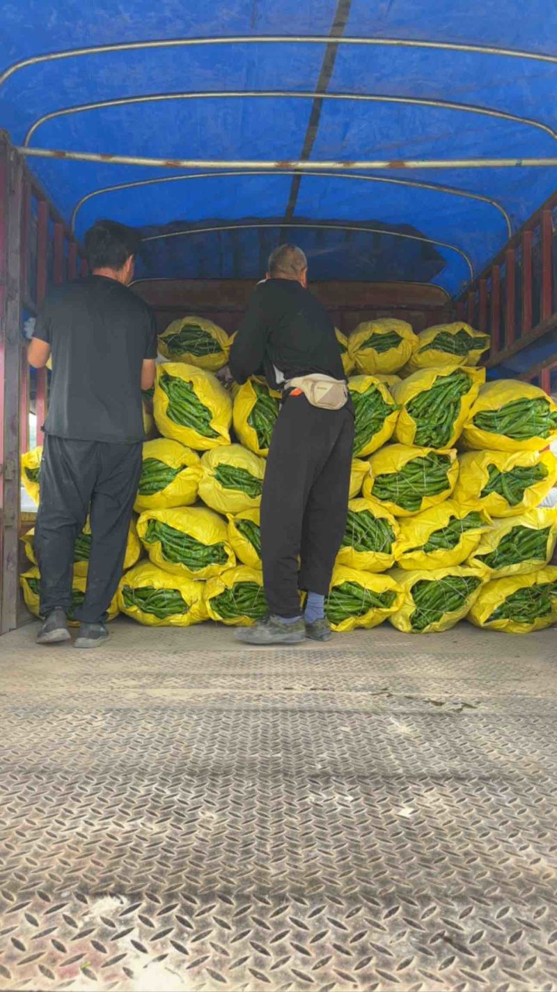 7.4日螺丝椒通货打包🚀🚀🚀