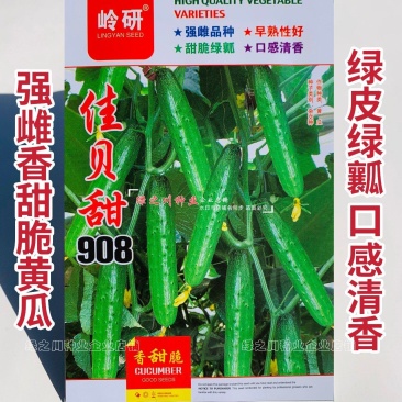 佳贝甜908香脆黄瓜种子全雌水果黄瓜种子甜脆清香绿瓤黄瓜