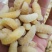 昆虫类，树蜂蛹。土蜂蛹，一二级混合，一级，二级，三级