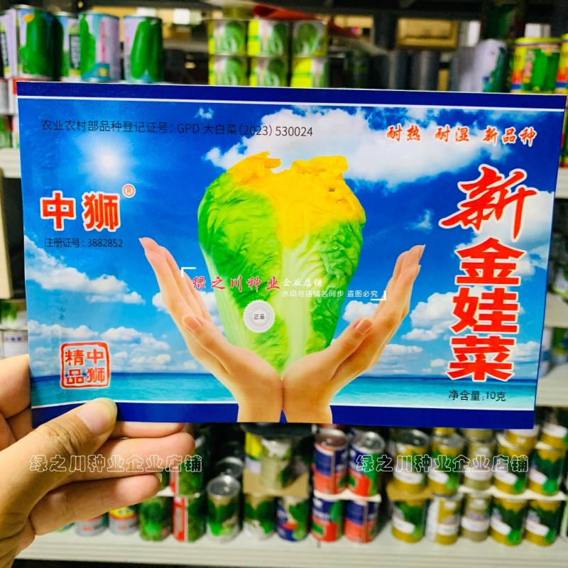 中狮娃娃菜种子新金娃菜种籽耐热耐湿黄心白菜种子早熟夏秋