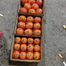 橙子夏橙产地货源对接全国客商欢迎电联