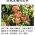 河南微生物菌剂厂家直发防病害改良土壤品质保证欢迎来电