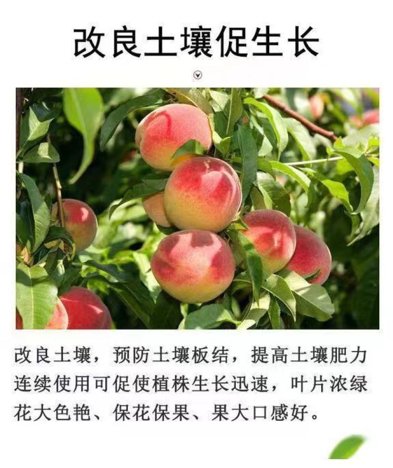 河南微生物菌剂厂家直发防病害改良土壤品质保证欢迎来电