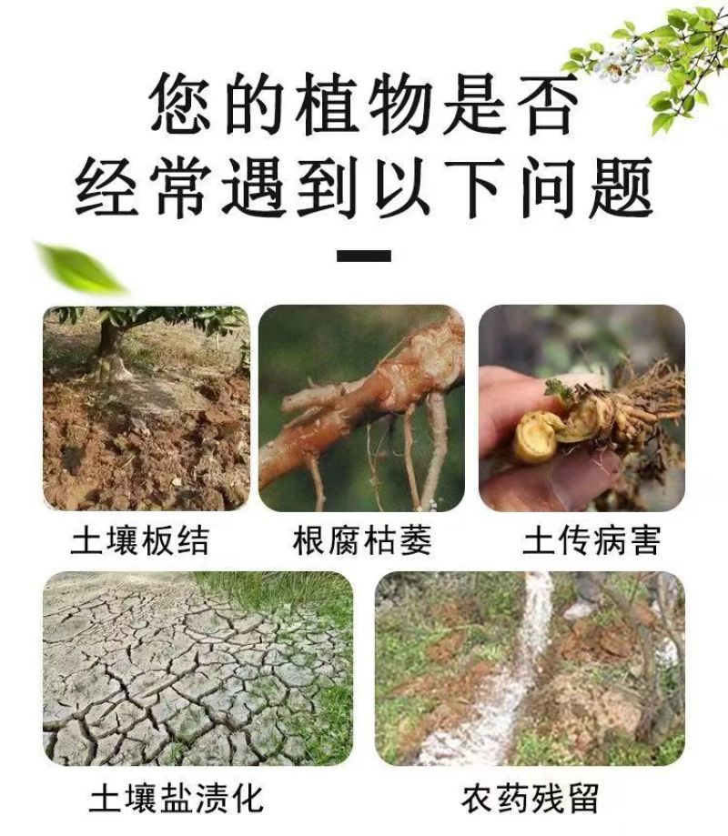 河南微生物菌剂厂家直发防病害改良土壤品质保证欢迎来电