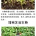河南微生物菌剂厂家直发防病害改良土壤品质保证欢迎来电