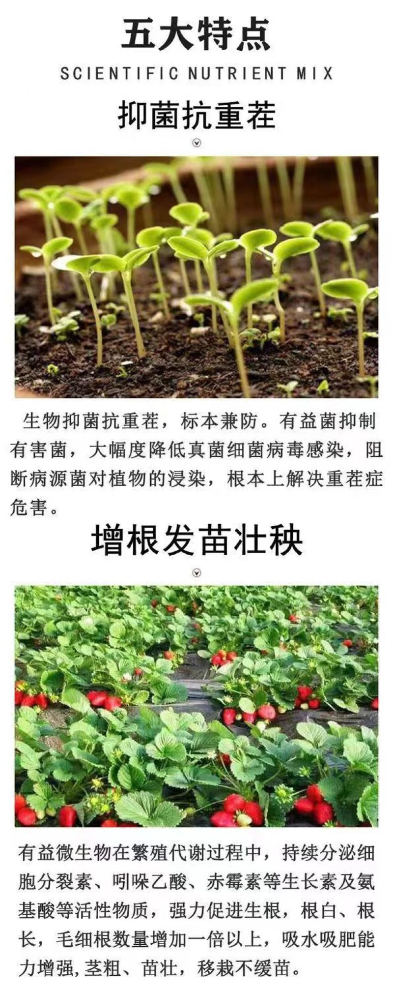 河南微生物菌剂厂家直发防病害改良土壤品质保证欢迎来电