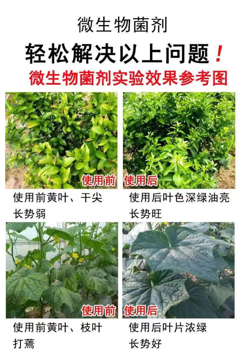 河南微生物菌剂厂家直发防病害改良土壤品质保证欢迎来电