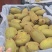 湖南湘西猕猴桃大量供应代发全国量大从优欢迎来电