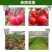 河南腐植酸有机肥料土壤更健康瓜甜果飘香厂家直供欢迎来电