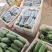 福建南平新苗精品肉丝瓜